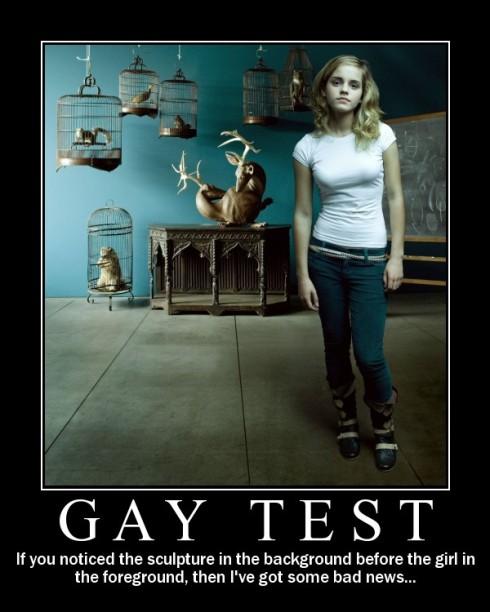 Harry Potter Gay Test